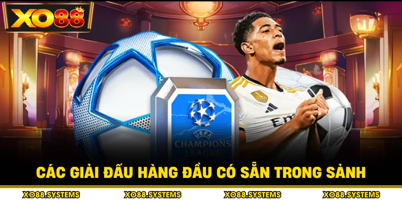 Các giải đấu hàng đầu có sẵn trong sảnh