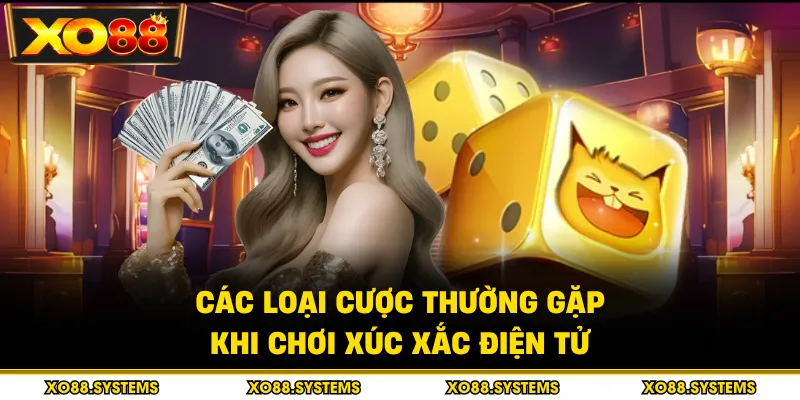 Các loại cược thường gặp khi chơi xúc xắc điện tử