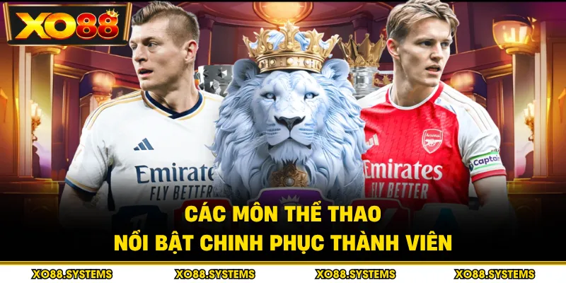 Các môn thể thao nổi bật chinh phục thành viên