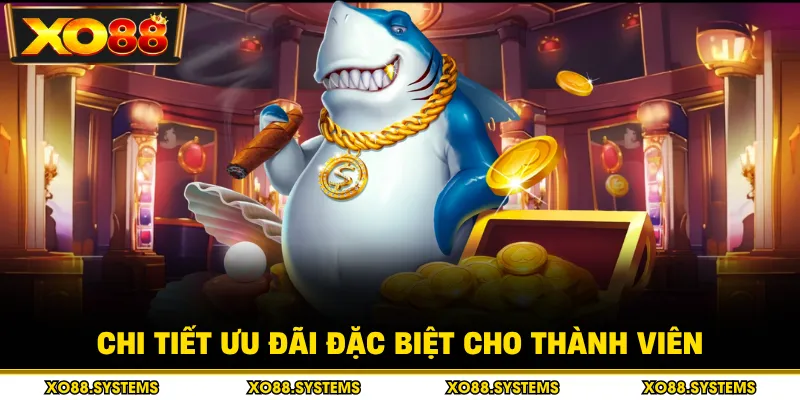 Chi tiết ưu đãi đặc biệt cho thành viên