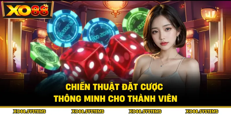 Chiến thuật đặt cược thông minh cho thành viên