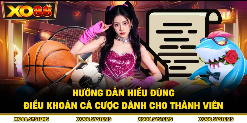 Hướng dẫn hiểu đúng điều khoản cá cược dành cho thành viên