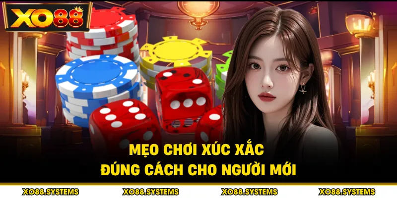 Mẹo chơi xúc xắc đúng cách cho người mới