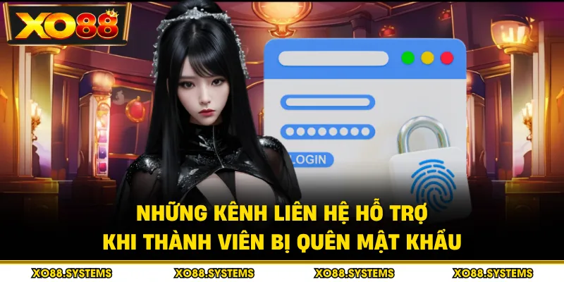 Những kênh liên hệ hỗ trợ khi thành viên bị quên mật khẩu